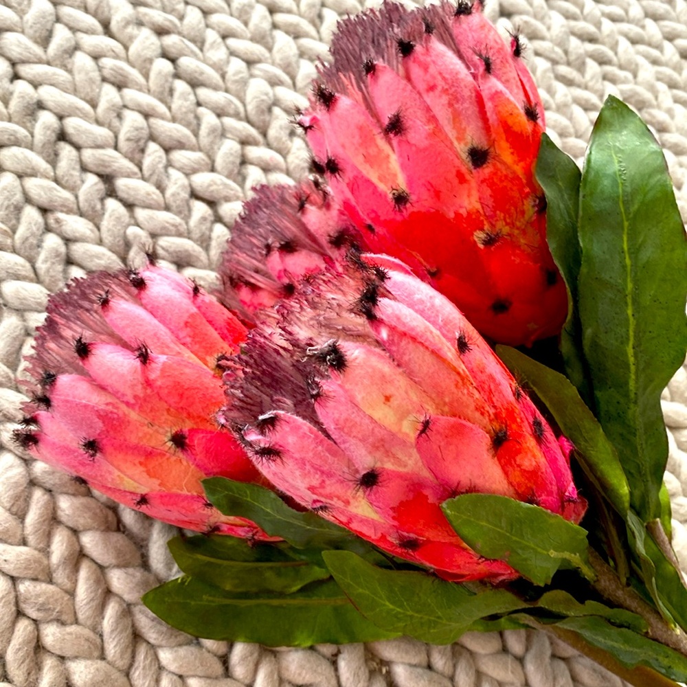 Faux Protea Stems